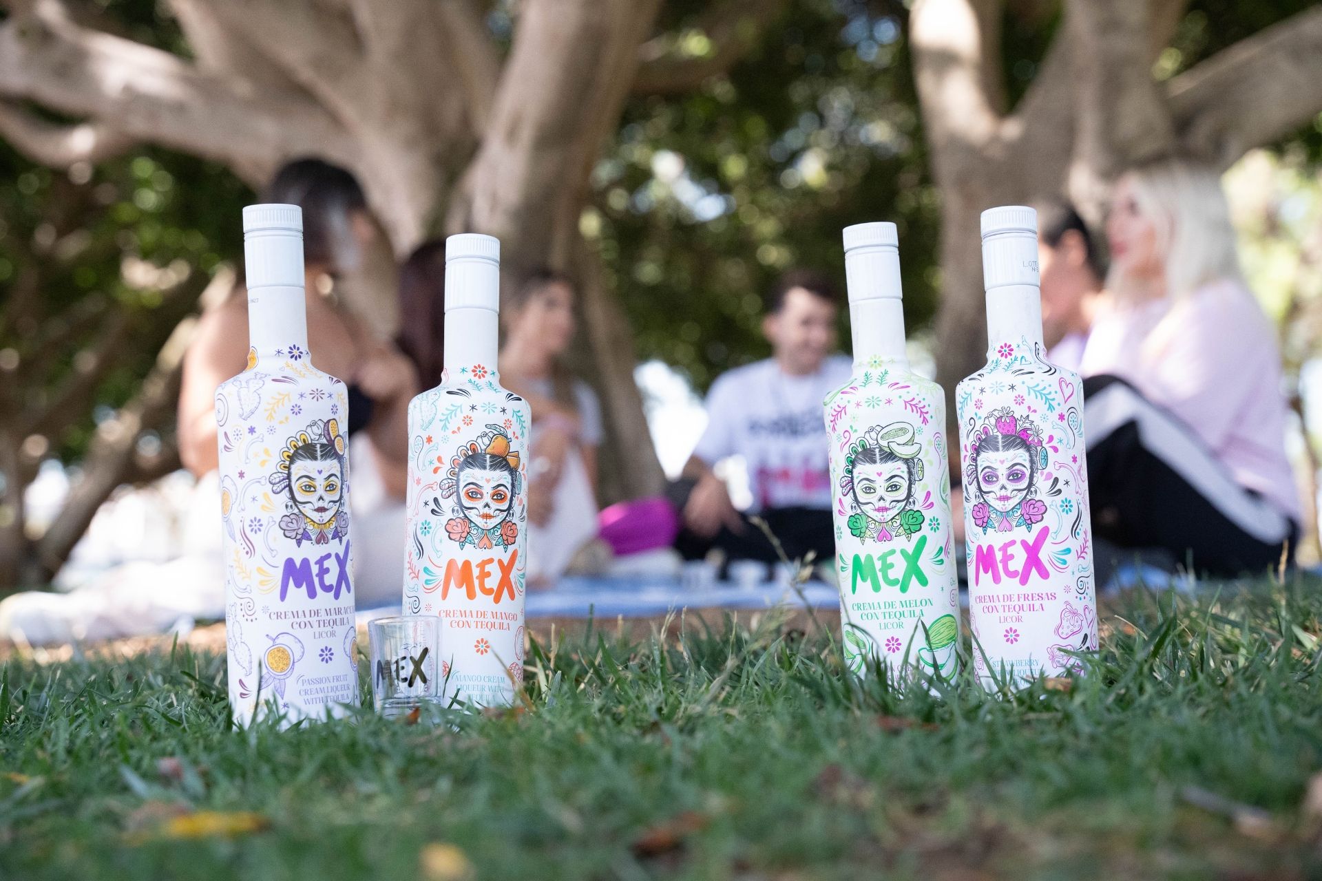 Picnic MEX
